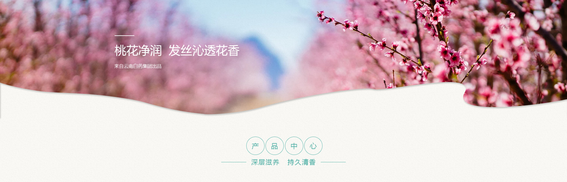 ����� | �ٷ���վ