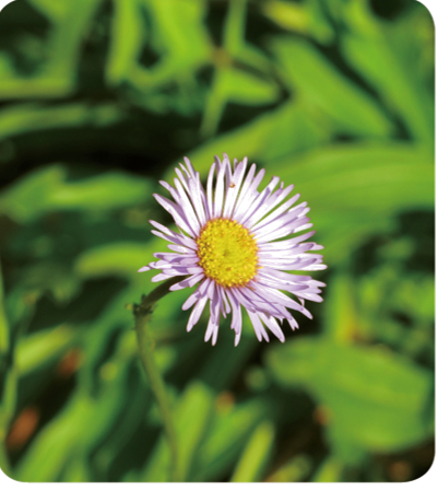 ����� | �ٷ���վ