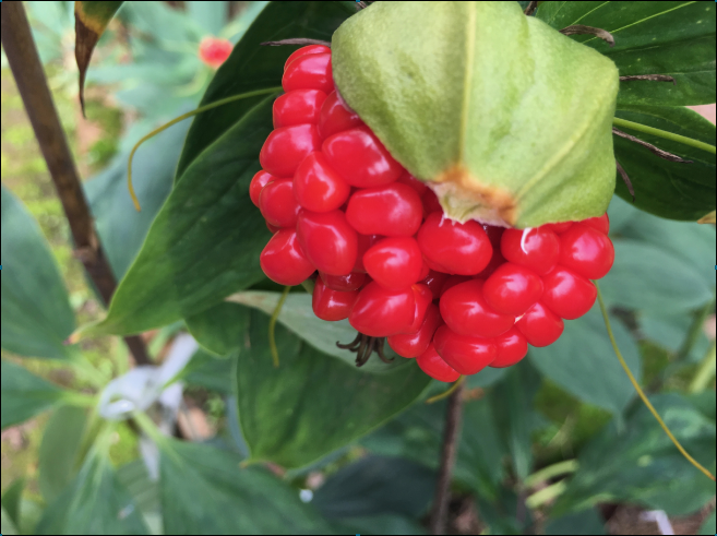 ����� | �ٷ���վ