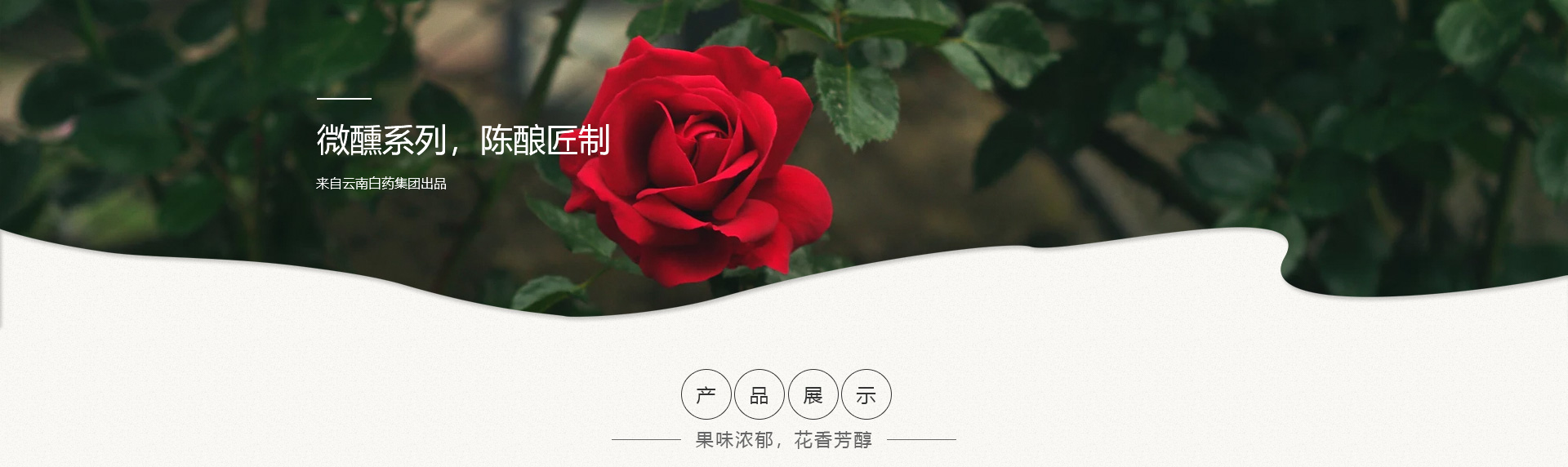 ����� | �ٷ���վ