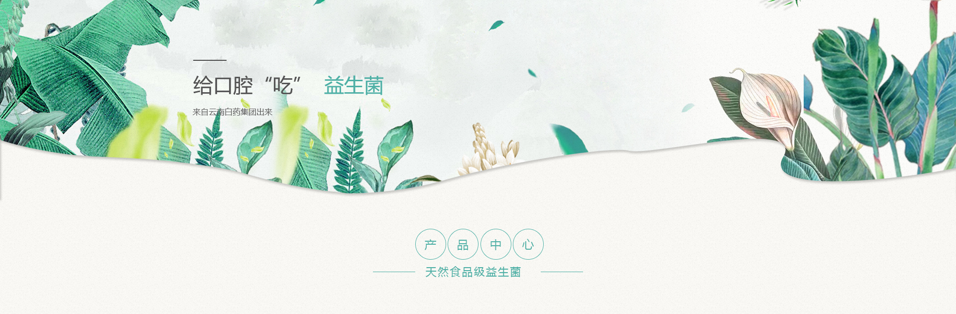 ����� | �ٷ���վ