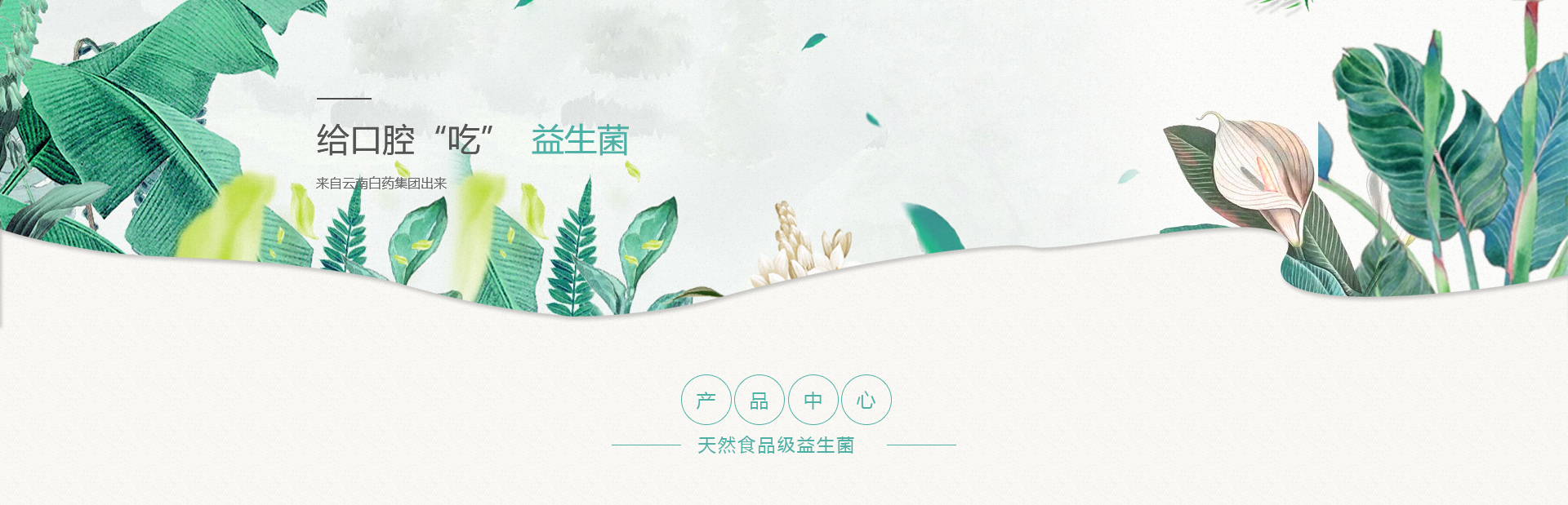 ����� | �ٷ���վ