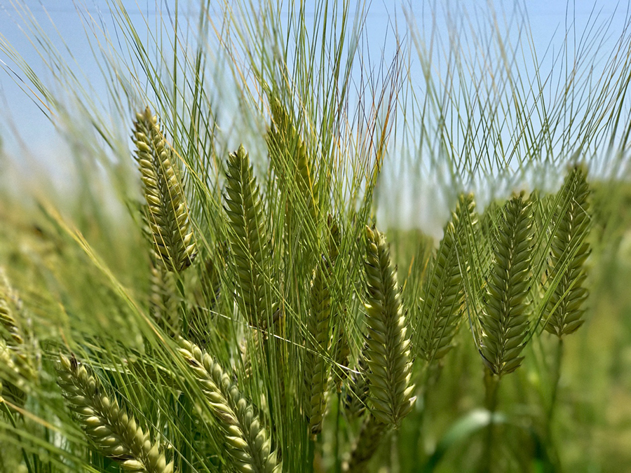 ����� | �ٷ���վ