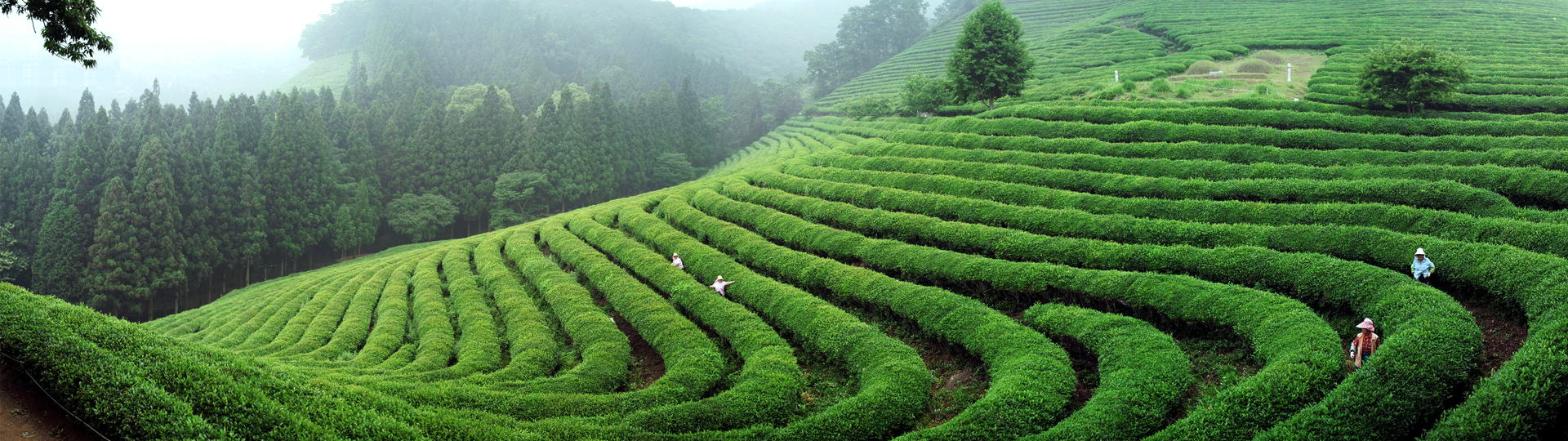 ����� | �ٷ���վ