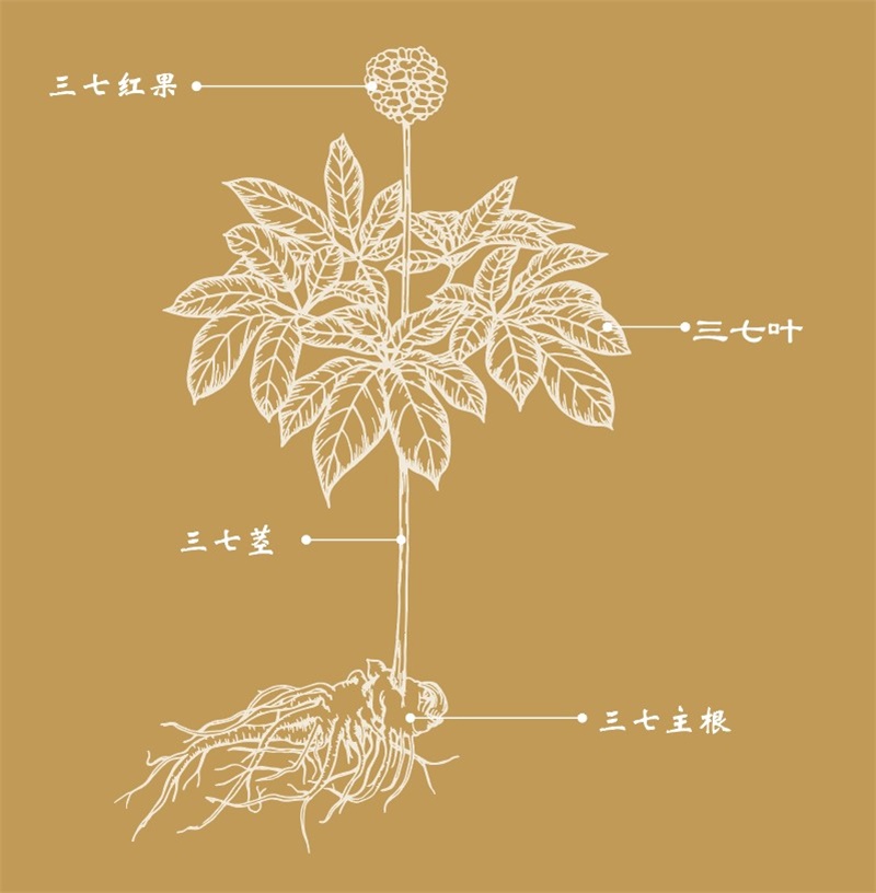 ����� | �ٷ���վ