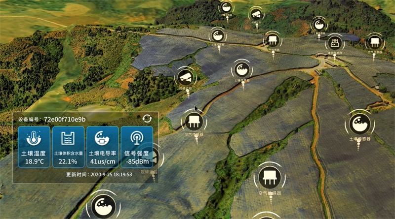 ����� | �ٷ���վ