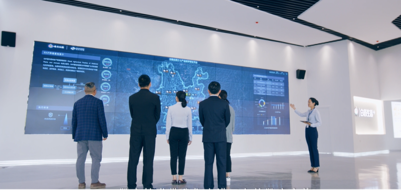 ����� | �ٷ���վ