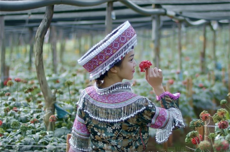 ����� | �ٷ���վ