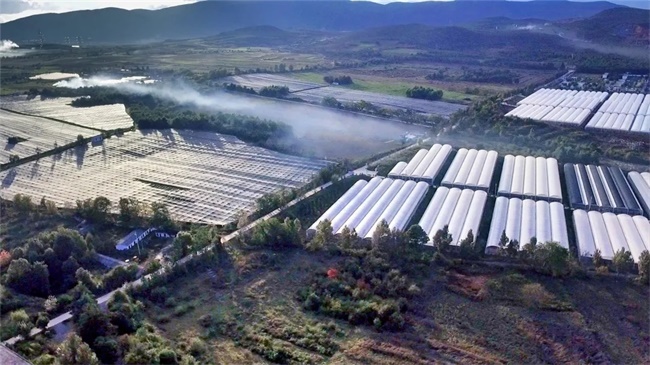 ����� | �ٷ���վ