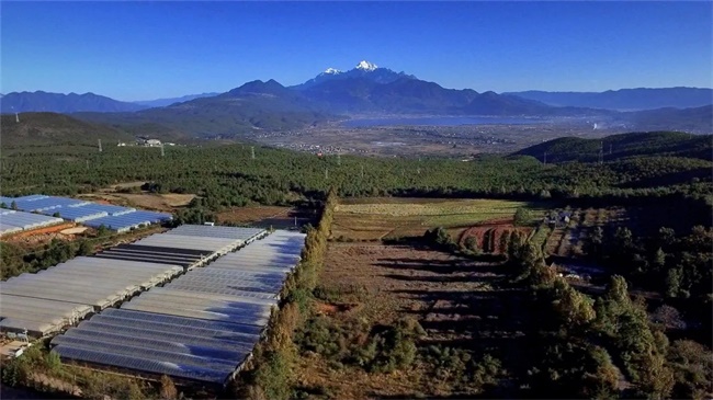 ����� | �ٷ���վ