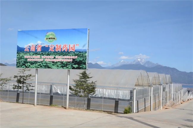 ����� | �ٷ���վ