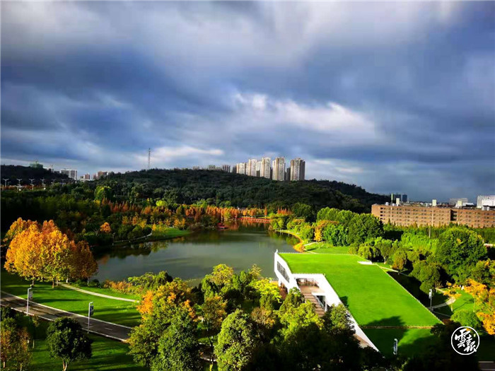 ����� | �ٷ���վ