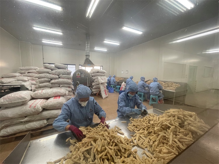 ����� | �ٷ���վ