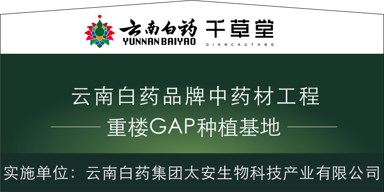 ����� | �ٷ���վ