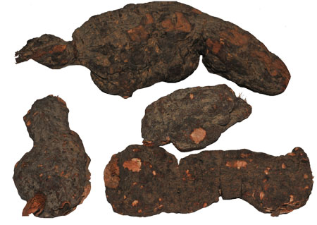 ����� | �ٷ���վ