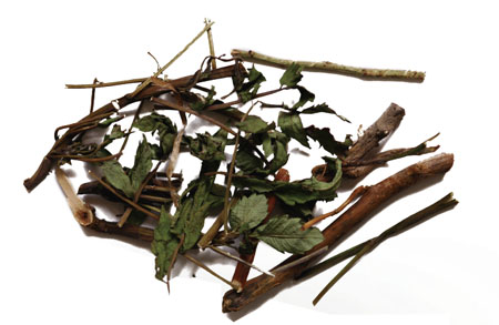 ����� | �ٷ���վ