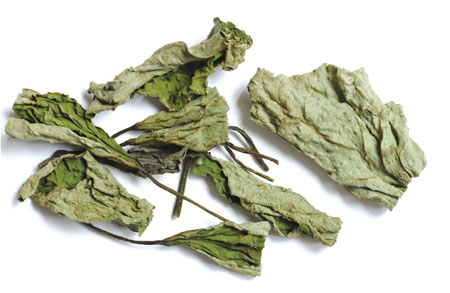 ����� | �ٷ���վ