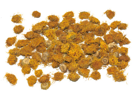 ����� | �ٷ���վ